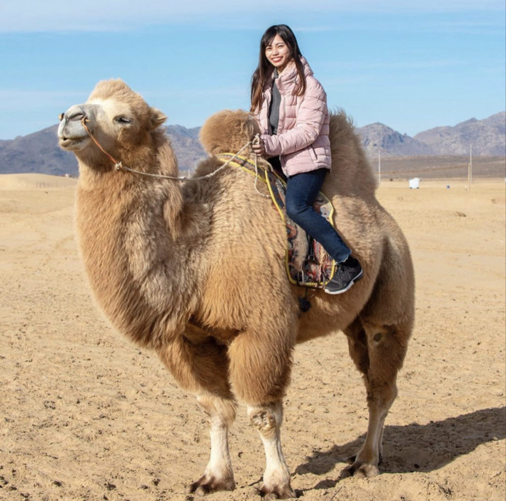 モンゴルでラクダとお散歩。動物と触れ合うのが大好きです。毛がもふもふでとーっても可愛かったです。