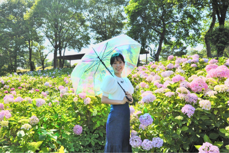 「ググッと。瀬戸内」で紹介！まんのう公園ではおしゃれな傘や和傘を無料レンタル中です✨