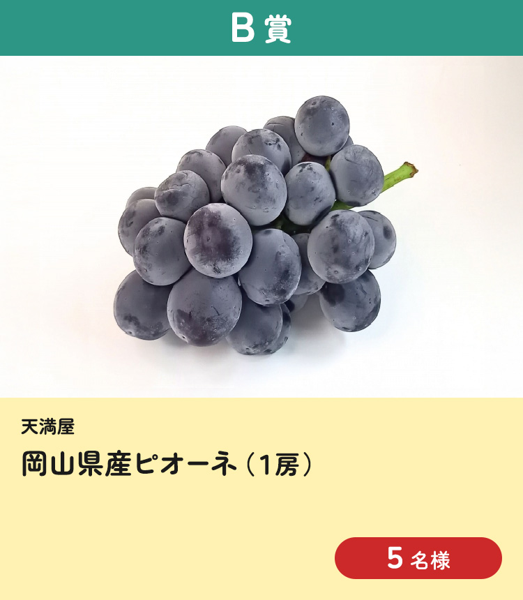 [B賞] 岡山県産ピオーネ（1房）