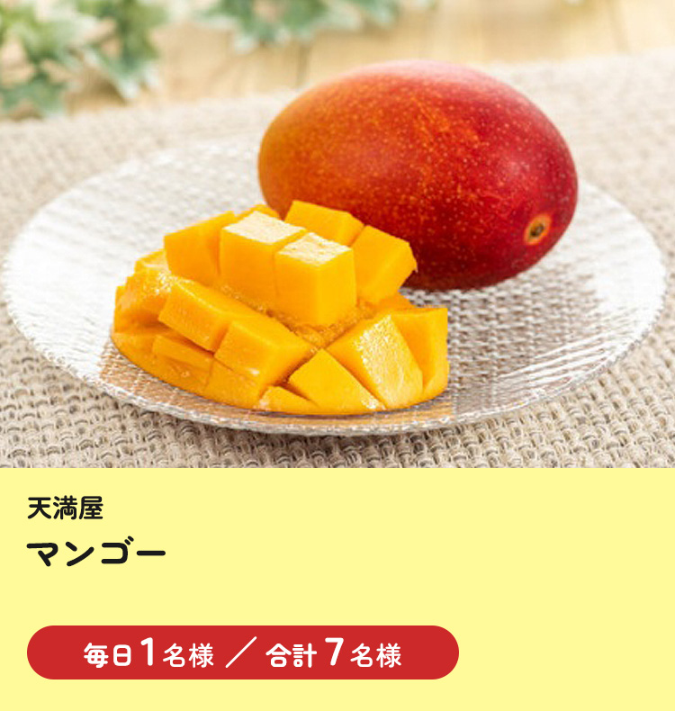 [西島園芸団地] マスクメロン1個