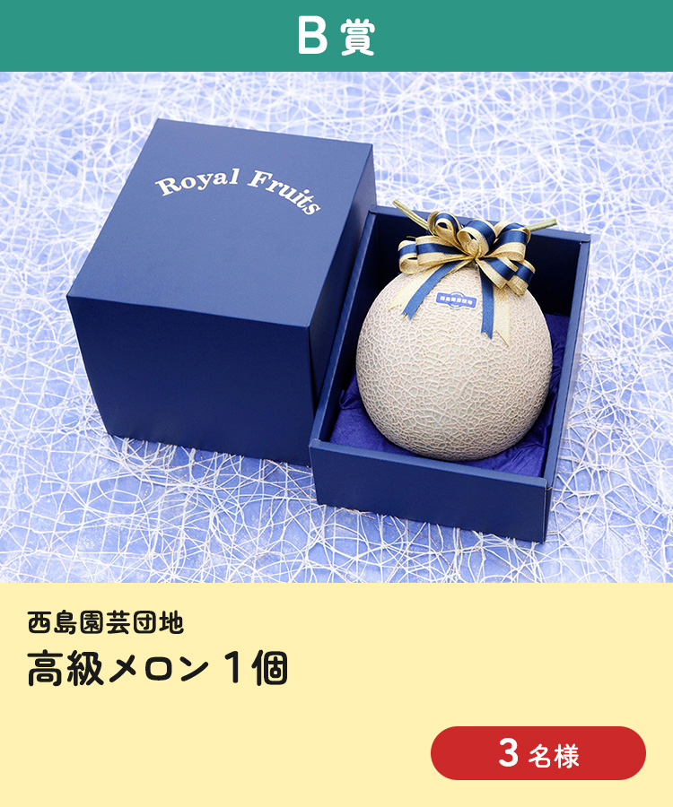 [B賞] 西島園芸団地 高級メロン1個