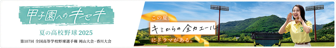 夏の高校野球
