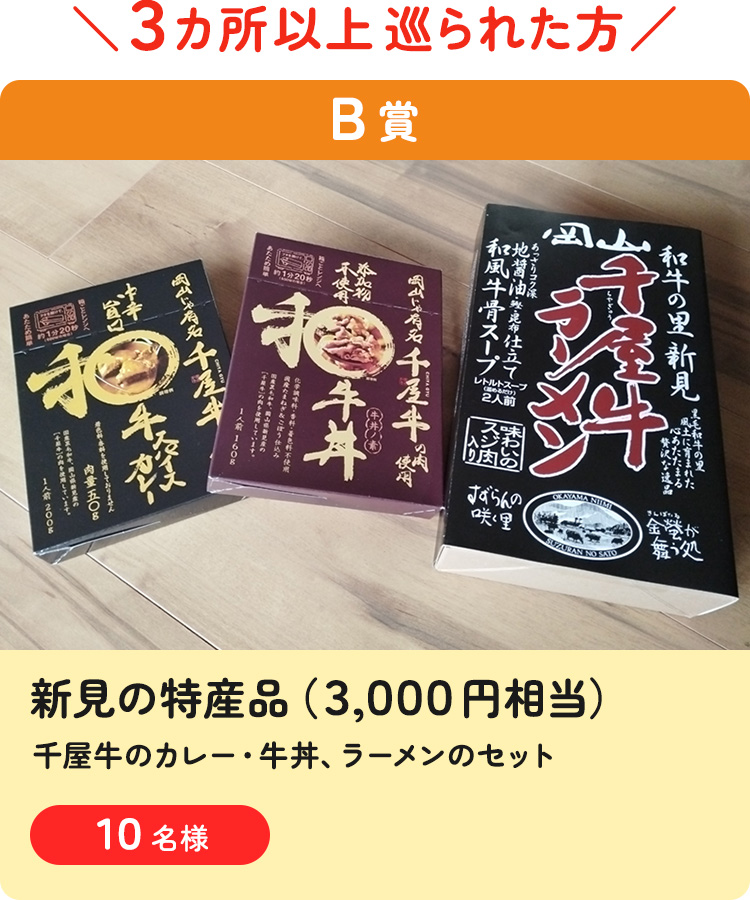 新見の特産品（千屋牛のカレー・牛丼、ラーメンのセット）（3,000円相当）