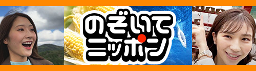 のぞいてニッポン