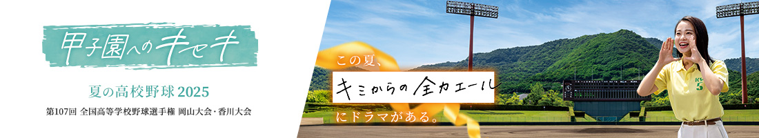 夏の高校野球