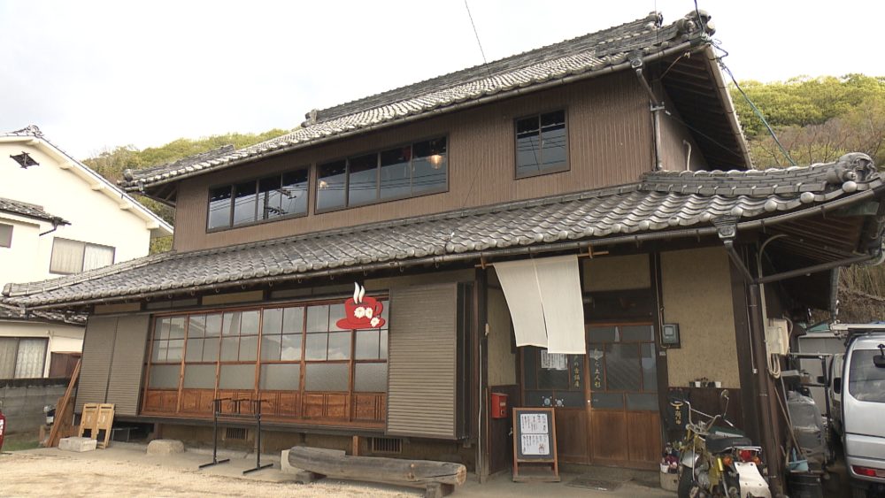 瀬戸の古猫庫