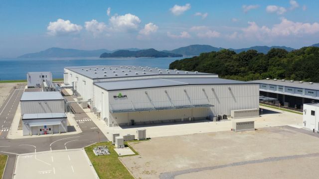 ショーワグローブ 株式会社