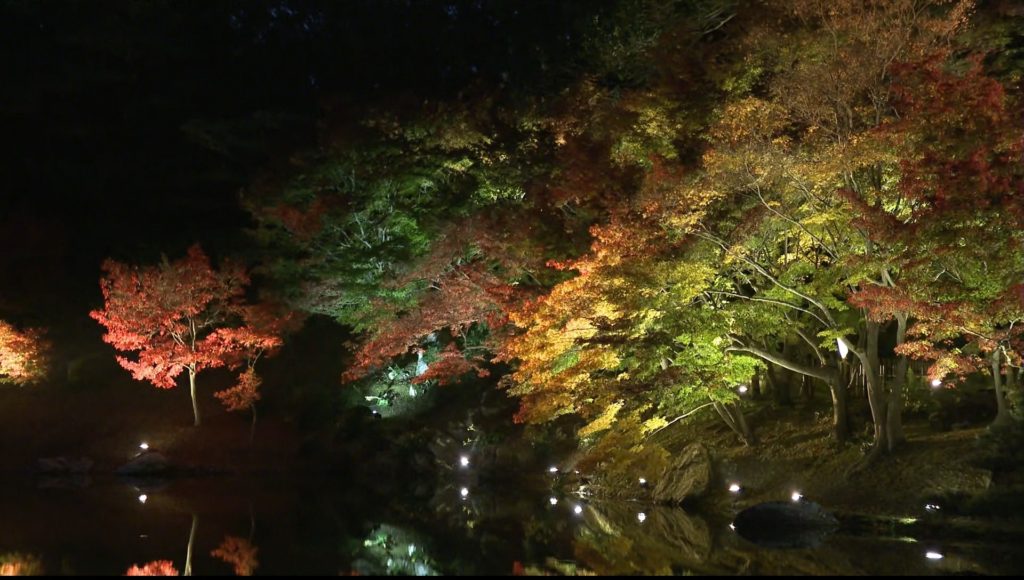 栗林公園で 秋のライトアップ 始まる 紅葉 光 で幻想的に News Park Ksb ニュースパークksb Ksb瀬戸内海放送