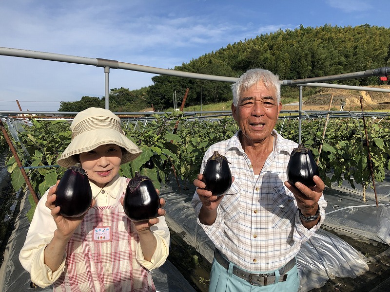 猛暑においしい郷土野菜 “三豊ナス”